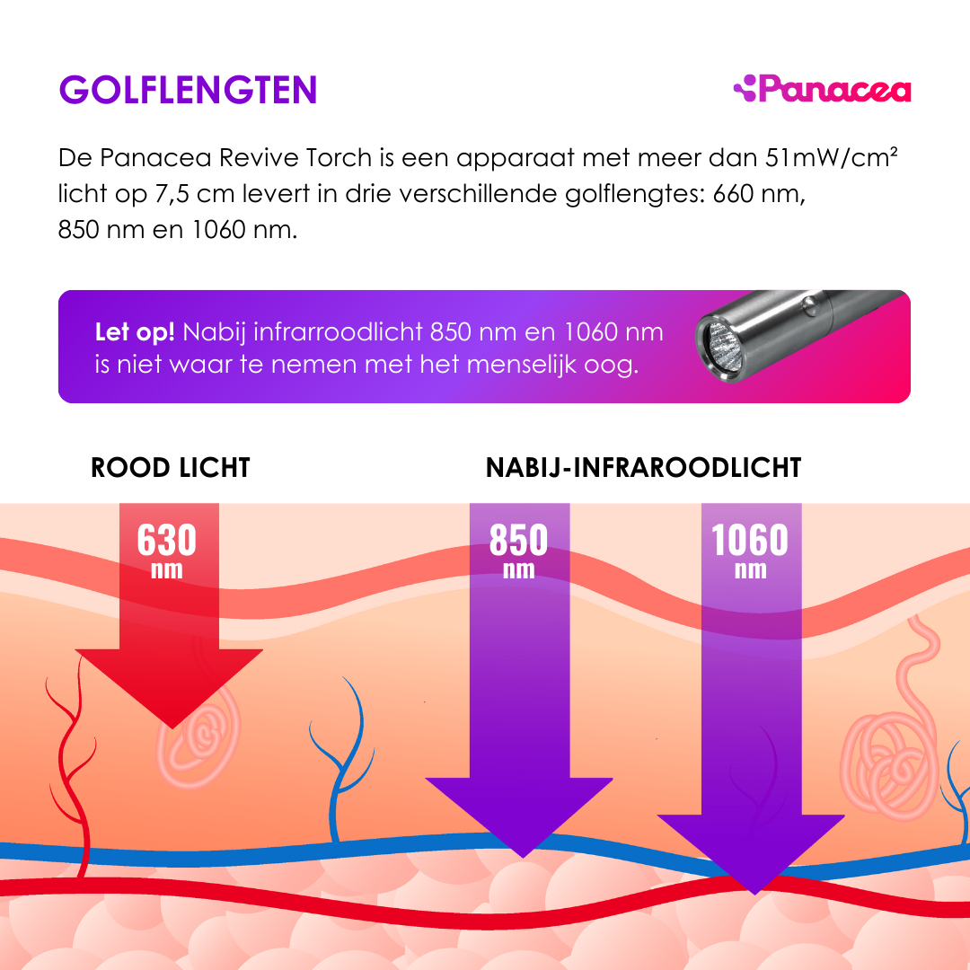 ReviveTorch Infrarot- und Rotlicht-Therapielampe 